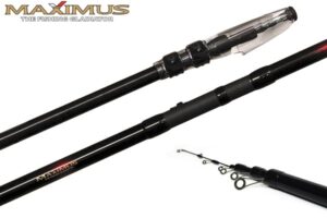 Sorcerer Bolognese