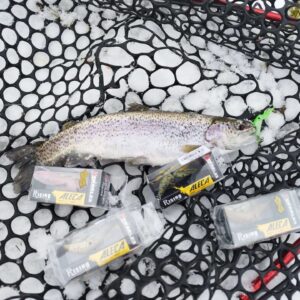Area Trout